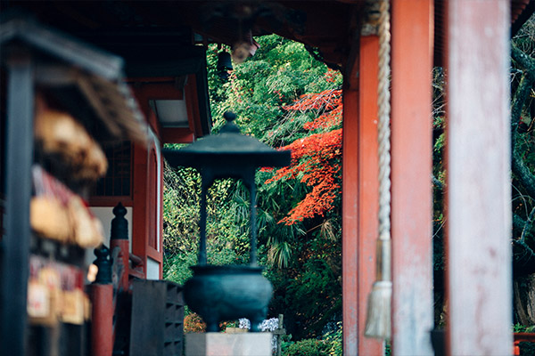 加賀温泉郷フェス2019